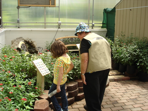 Novi learning about butterflies.