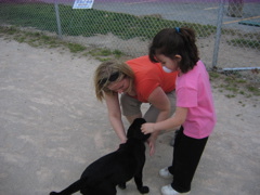 Cool doggie in the park