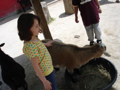 Lots of time in the petting zoo. 