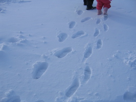 Walking far away with grandpa.