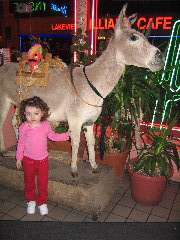 Fernandos, where my group went to dinner on Friday of MGCA. Novali loved the donkey in the Lobby!