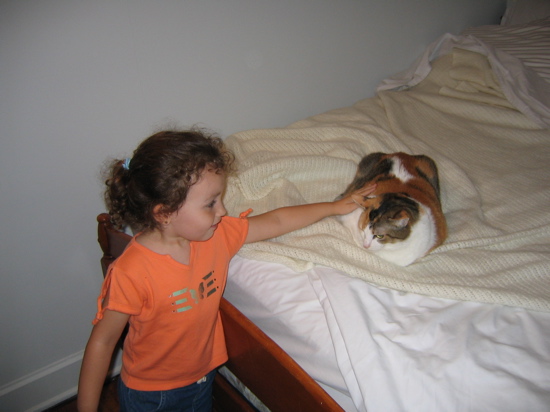 Novi loved Miguels cats. 