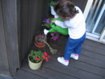 Other skills besides baking... she waters plants as well. 