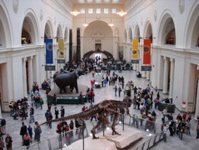 At the Field Museum.