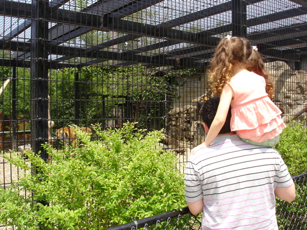 She laughed as she watched him walk around his cage.