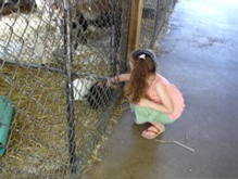 Bunnies... relatives of Nono possibily?