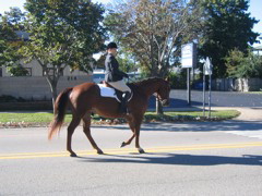 Albion Equestrian Center.