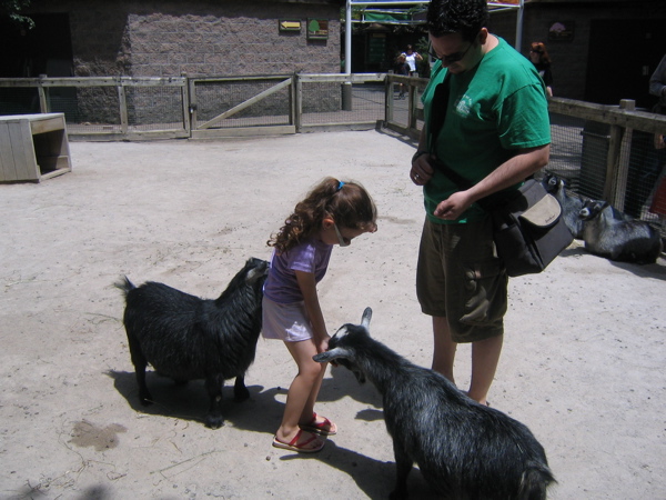 She loved feeding the goats.