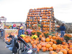 It was a huge farm... pumpkins, rides, and a band!
