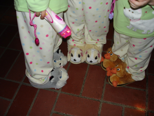 Themed slippers for the cold floors...