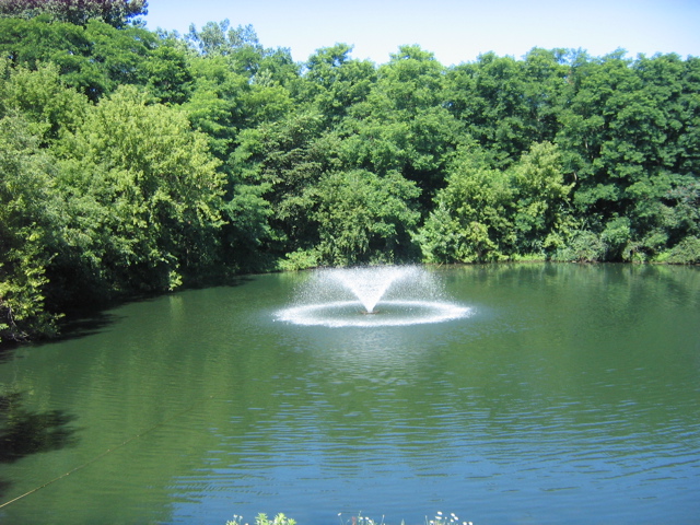 Novi and I walked over to the fountain.