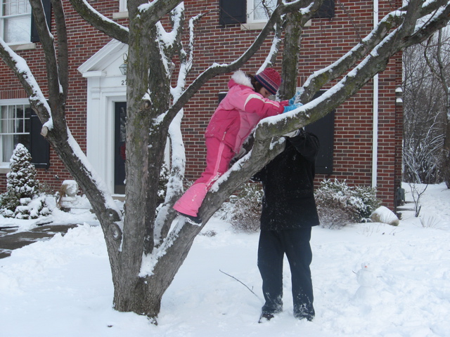 Here we go up the tree.