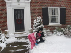 Lets start rolling the snow...