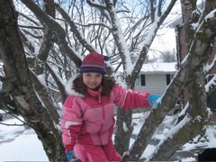 Climbed the crabapple tree!