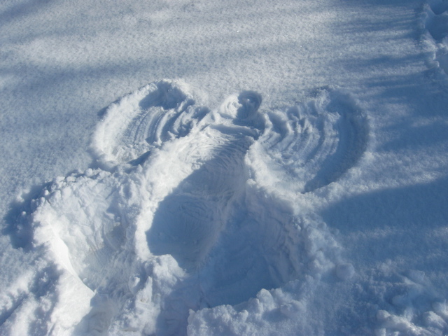 Snow angel!