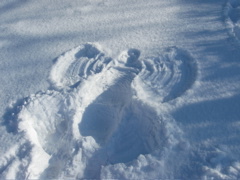 Snow angel!