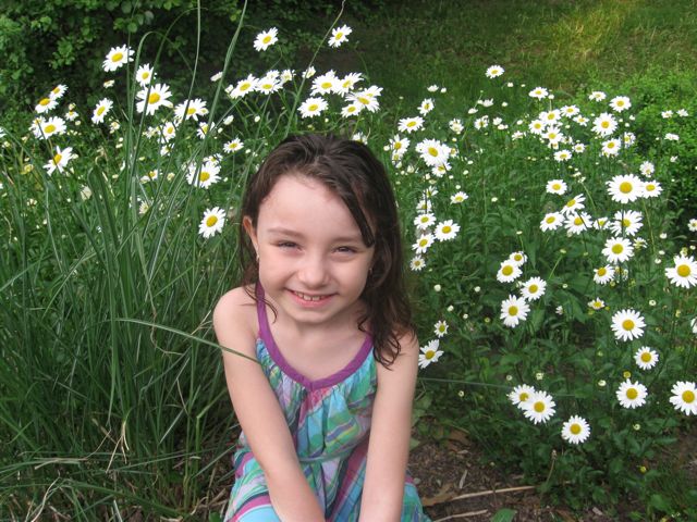 In late May early June we had beautiful daisys in the backyard!