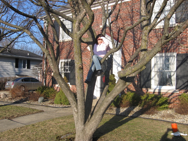 While we worked... Novali climbed a tree