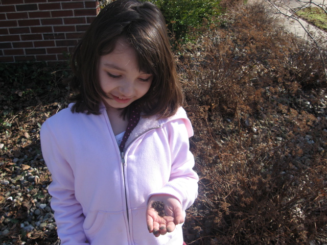 She also found some worms and other bugs. 