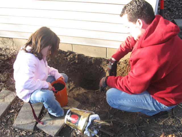 With the hole dug, we were ready to plant. 