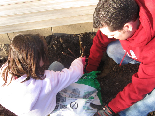 Packing in new dirt. 