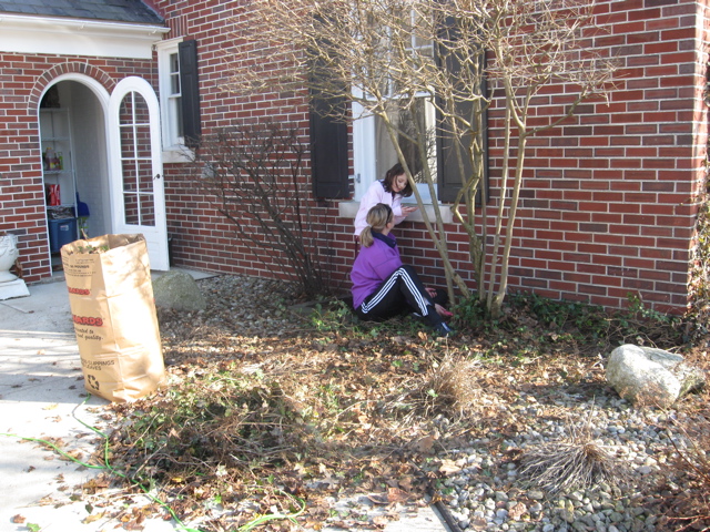 Then we went outside for some much needed yard work... 