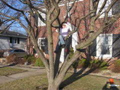 While we worked... Novali climbed a tree