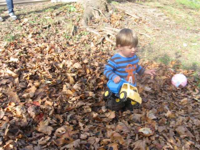 Trucks in the grass, in dirt, and in the big pile of leaves.