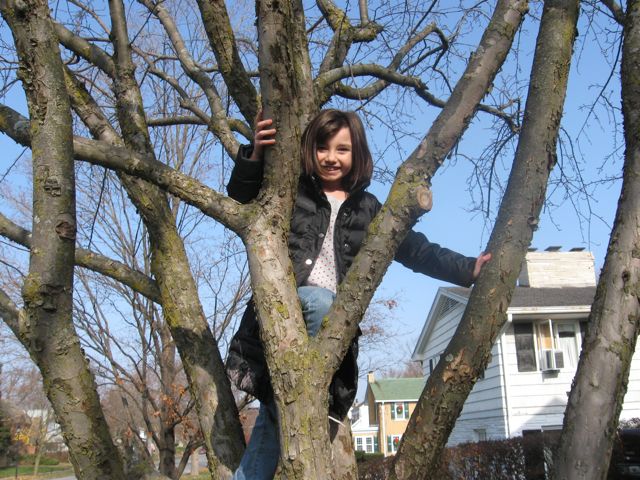 Some tree climbing...