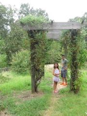 Butterfly garden at the park...
