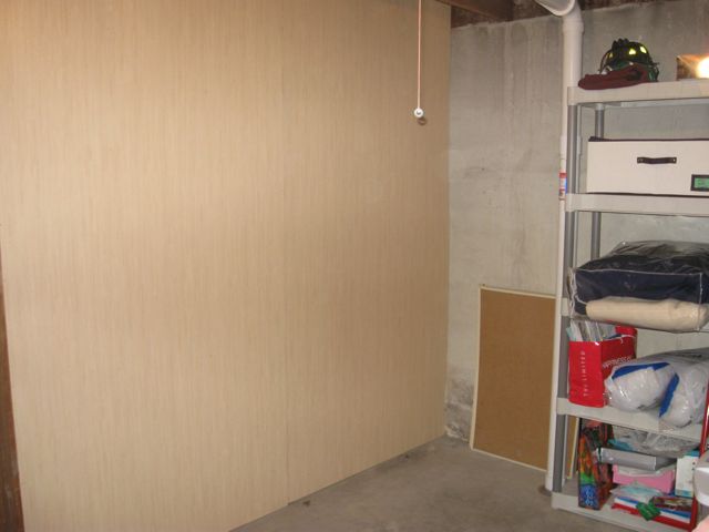 We got the paneling (bamboo look) nailed up... still need one more piece (on the left).