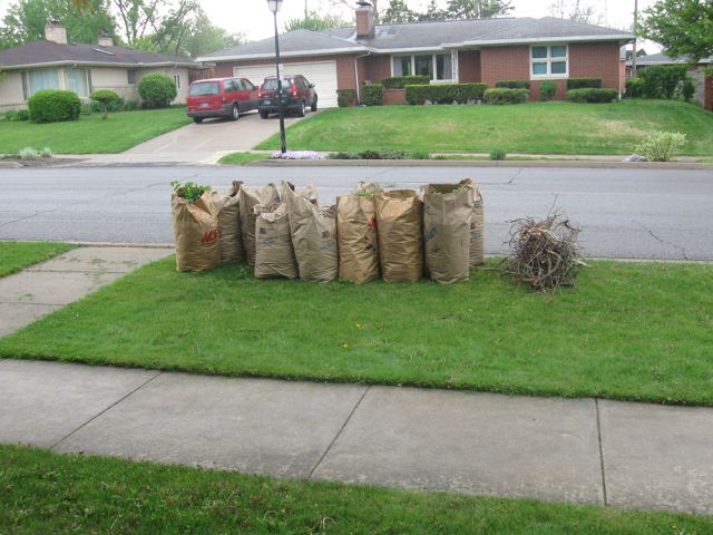 Bags, Bags, and more bags of leaves and yard stuff... 