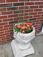 For her birthday my grandparents gift was money for her to plant flowers. She wanted impatients in the planters around the house. Very nice!