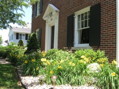 Flowers in the front of the house look great!