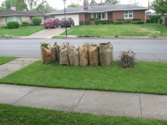 Bags, Bags, and more bags of leaves and yard stuff... 