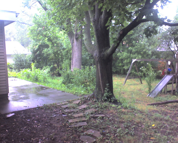 Side of the house looking to backyard.