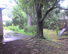 Side of the house looking to backyard.