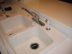 Double sinks, with disposal and sprayer.