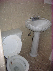Toilet and sink... 