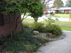landscaping by driveway.