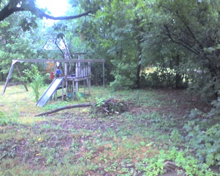 This was our backyard when we moved in... JUNGLE. 
