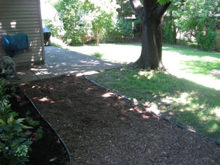 We had to cut the huge tree in the middle of the yard down. 