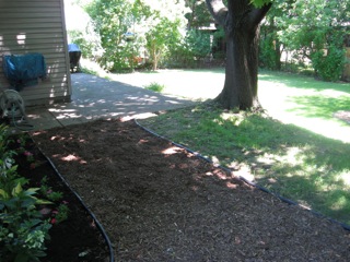 We had to cut the huge tree in the middle of the yard down. 