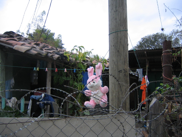 I thought this scene was interesting... a bunny on clothes line being drying out in a yard surrounded by barbwire. 