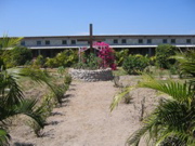 We worked a couple mornings to help clean up the garden in the courtyard of the Mission. 