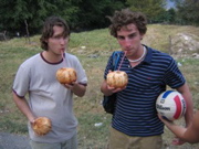 Jake and Pete got some coconuts. 