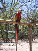 It is the site of some famous Mayan Temples. 